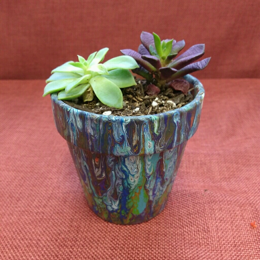 Meet your Posher, Abigail